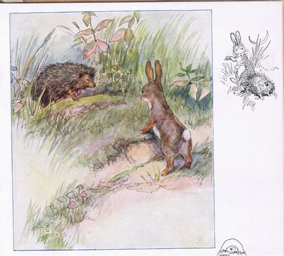 What Funny Things by Anne Anderson